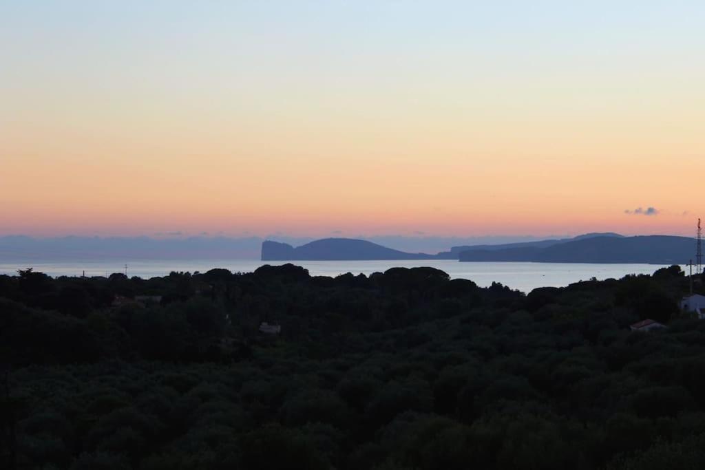Villa Boeddu, Relax Tra Mare E Campagna Alghero Eksteriør bilde